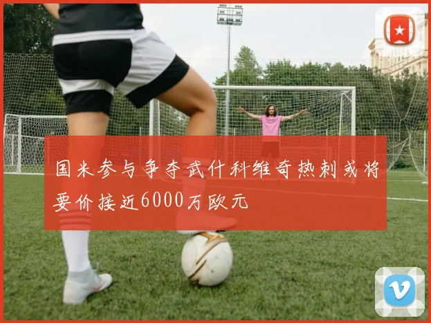 国米参与争夺武什科维奇热刺或将要价接近6000万欧元